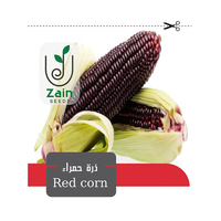 بذور الذرة الحمراء من زين سيدز -12 قطع